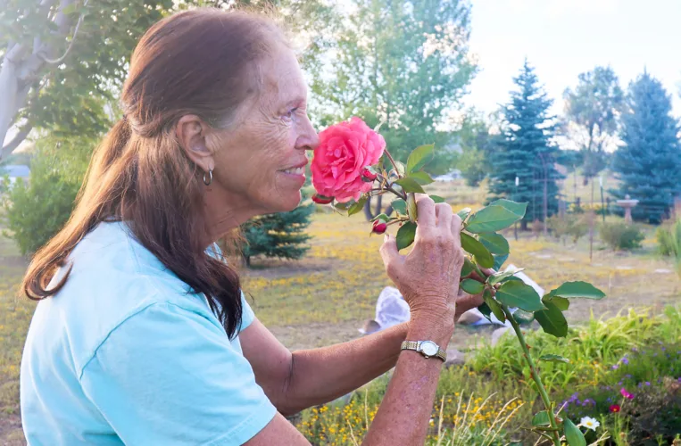In Arizona, pick a free bouquet, stay for community  at the Garden House on Butterfly Lane